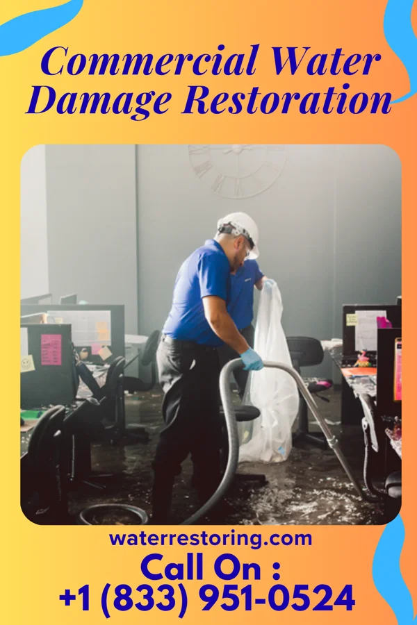 Commercial Water Damage Restoration in Chimney Rock Village, NC