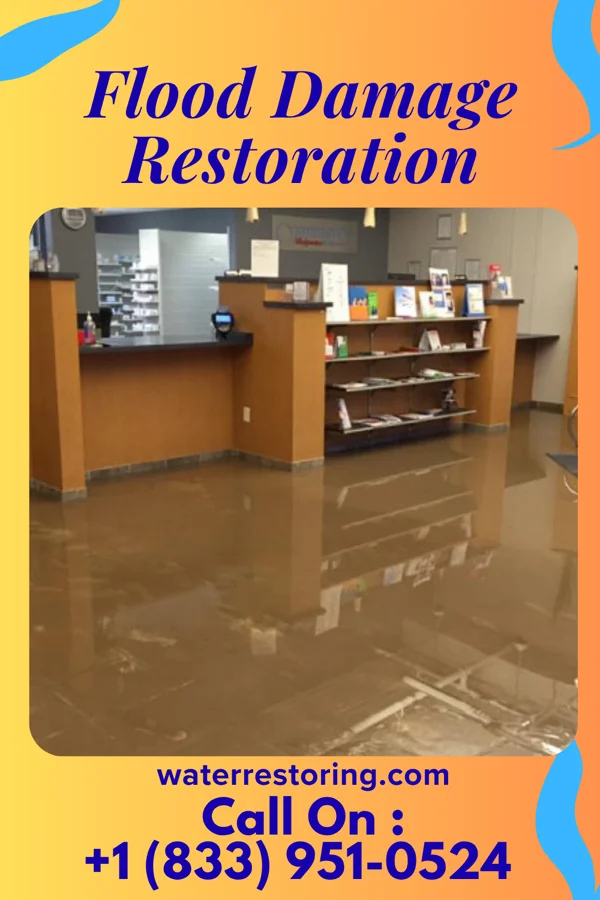 Flood Damage Restoration in Chimney Rock Village, NC