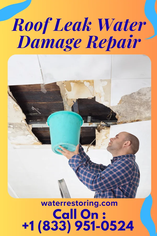 Roof Leak Water Damage Repair in Chimney Rock Village, NC