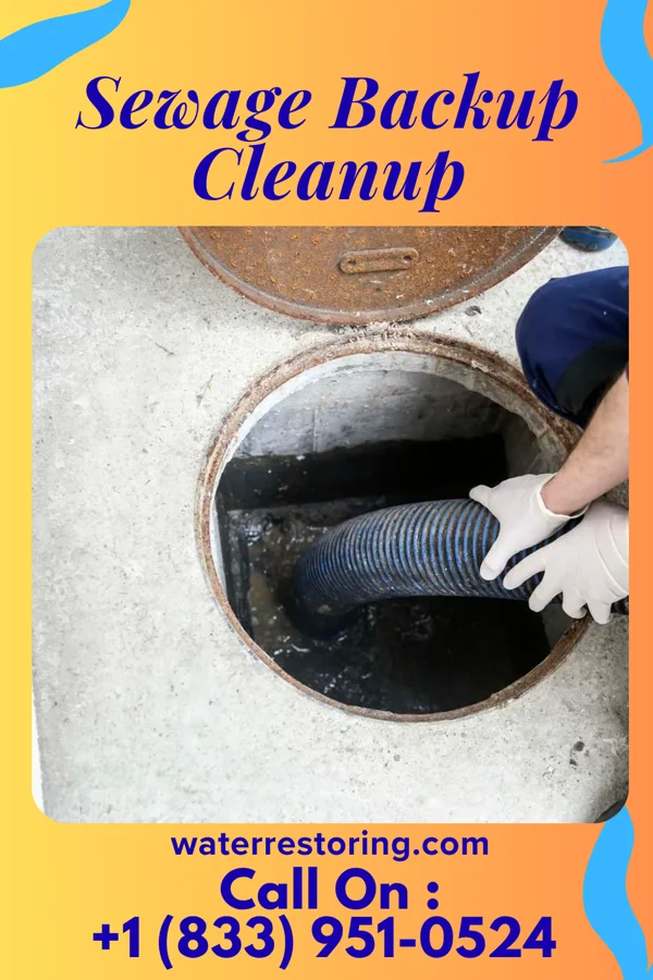 Sewage Backup Cleanup in Chimney Rock Village, NC